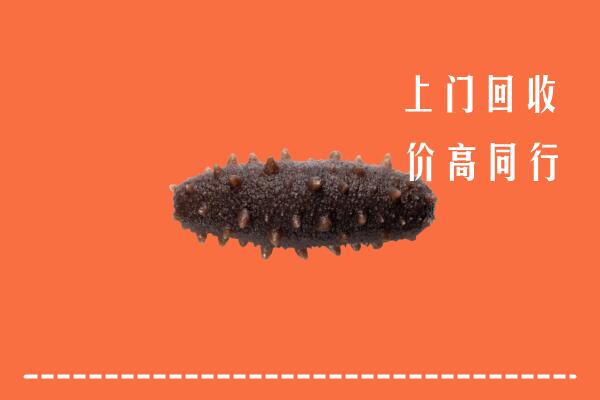 揭阳高价回收海参